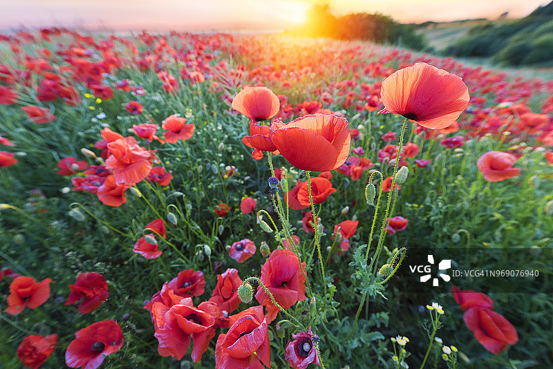 户外活动图片素材