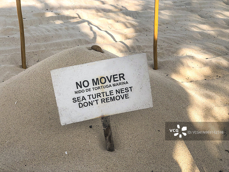 海龟巢穴图片素材