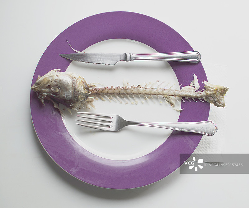 鲈鱼骨骼拼盘图片素材