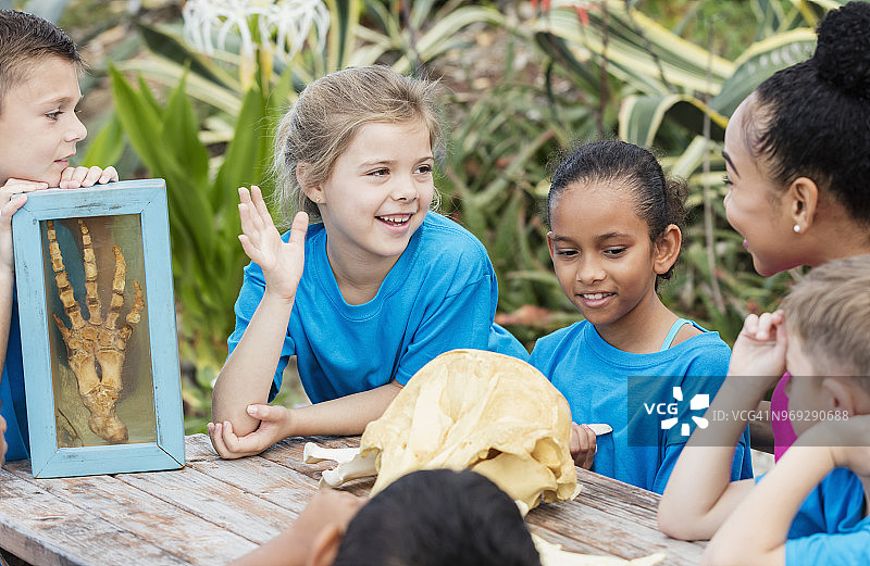 孩子们和老师一起上动物骨骼科学课图片素材