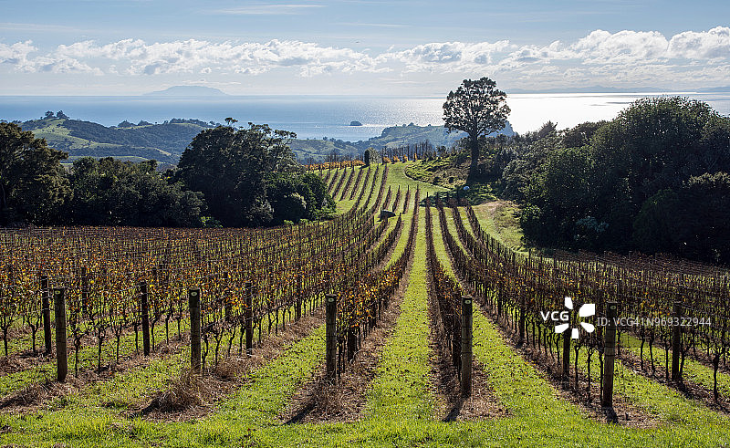 怀赫科岛图片素材