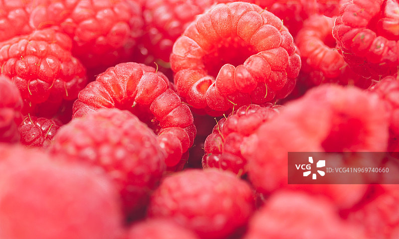 覆盆子全画幅图片素材