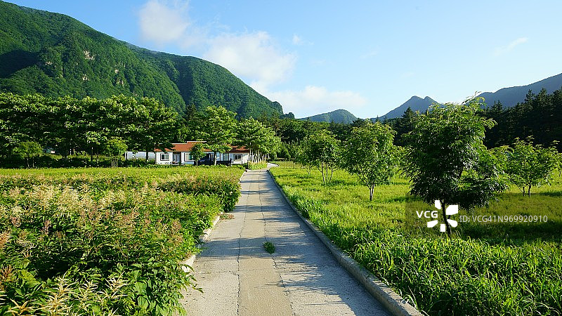 郁陵岛纳里盆地公路图片素材