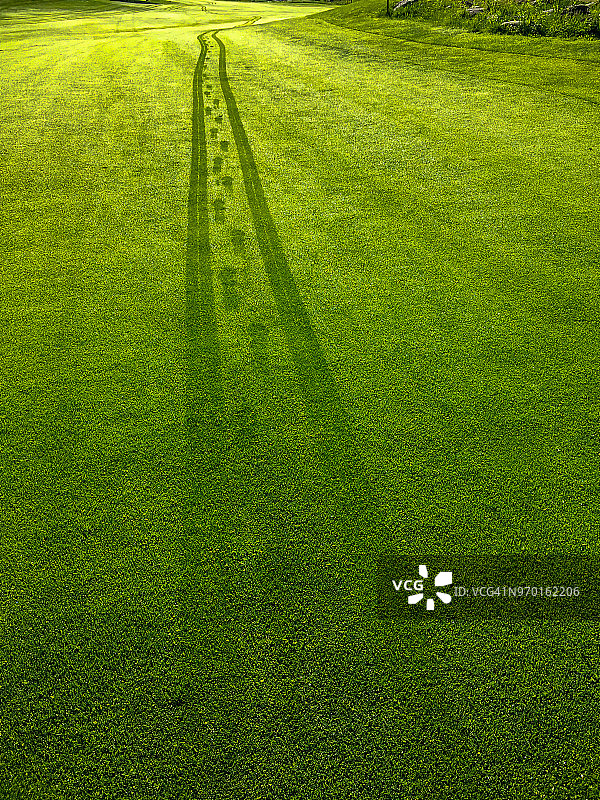 高尔夫球场上的潮湿痕迹图片素材