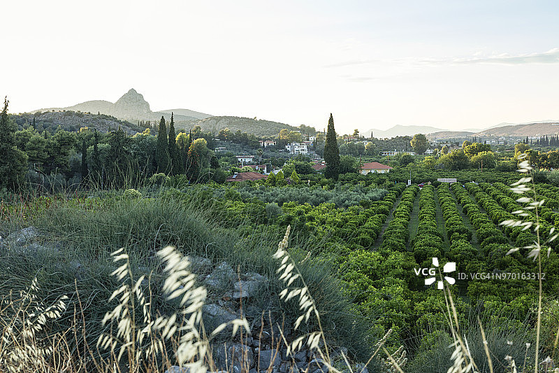 希腊伯罗奔尼撒阿尔卡迪亚古阿辛遗址图片素材