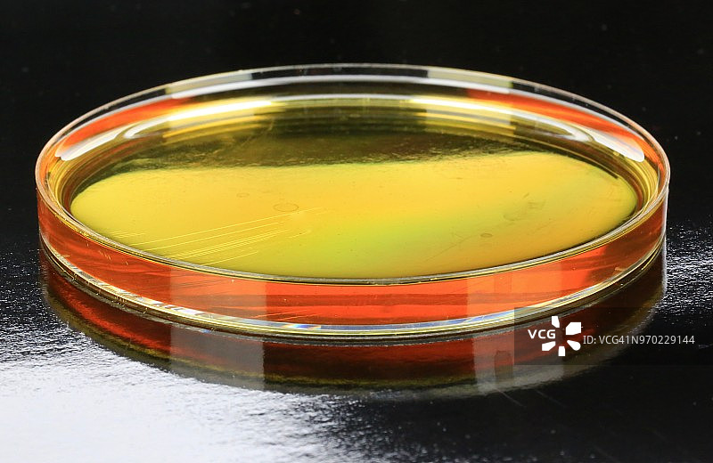 测试润滑油样品图片素材