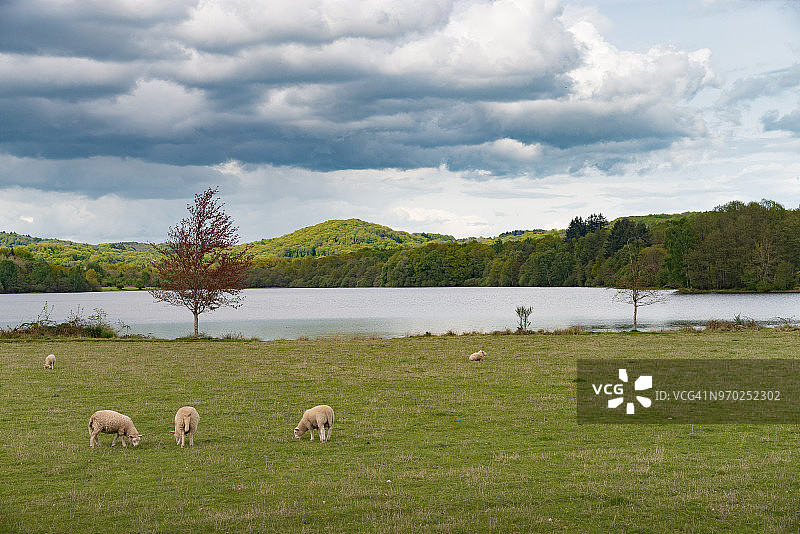 法国克勒兹省Chapelle Saint Martial村的池塘图片素材