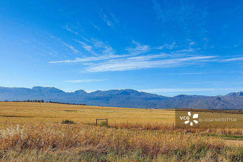 南非谷的农场和农业图片素材