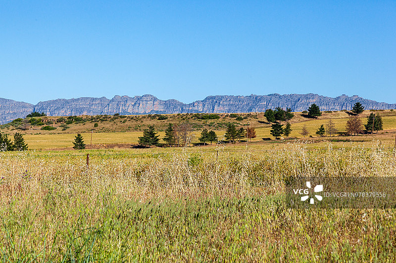 南非谷的农场和农业图片素材