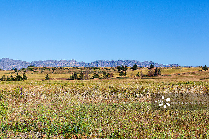 南非谷的农场和农业图片素材