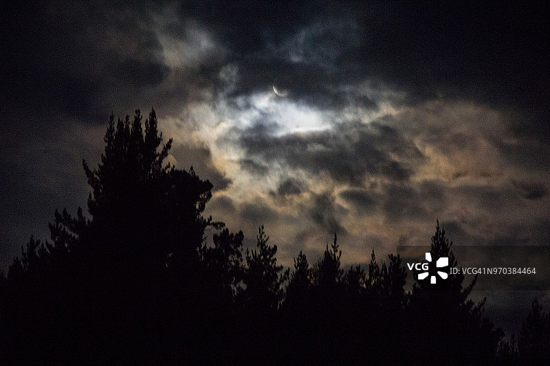 满月的光芒穿透南非东开普省霍格斯巴克地区松树林上空的黑暗暴风云图片素材