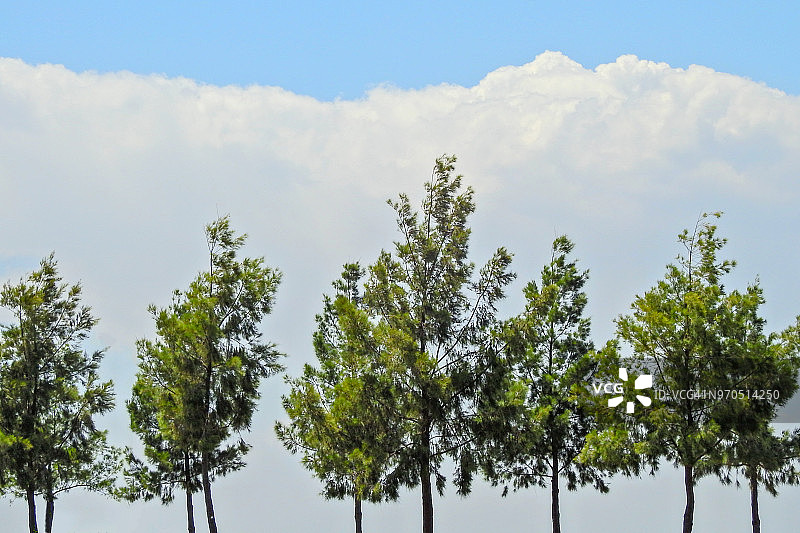 葡萄牙阿尔加维景观图片素材