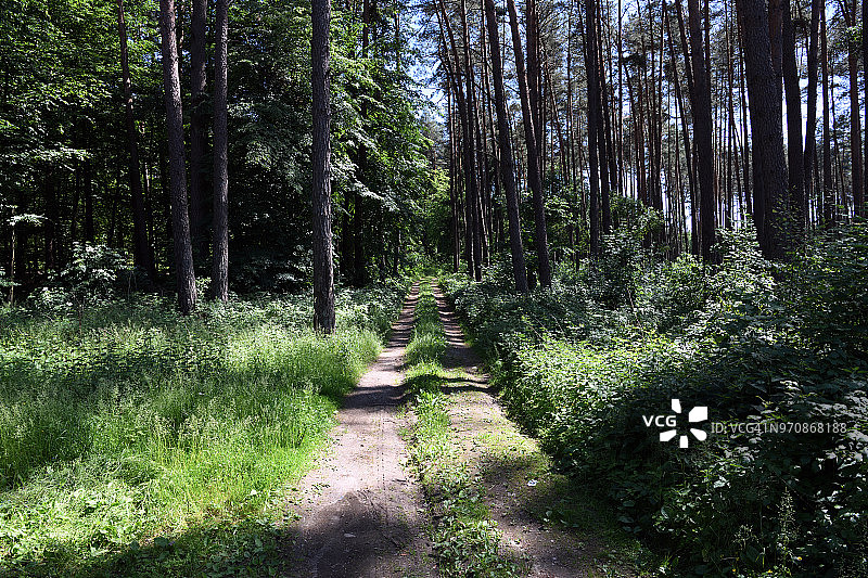 波兰苏瓦乌基附近的乡村景色和太阳能电池板田图片素材