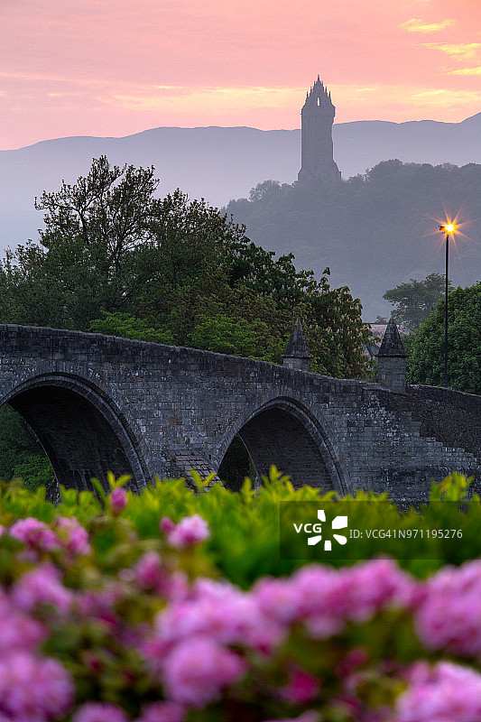 鲜花，苏格兰斯特灵老桥，华莱士纪念碑图片素材