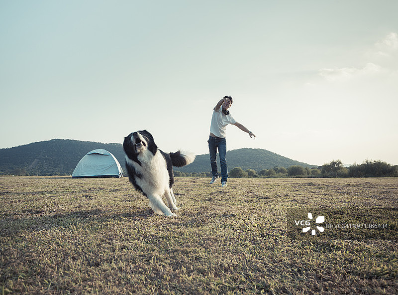营地里和边境牧羊犬玩耍的男主人图片素材