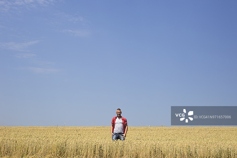 快乐的农民站在他那片丰收的黄色成熟小麦田中图片素材