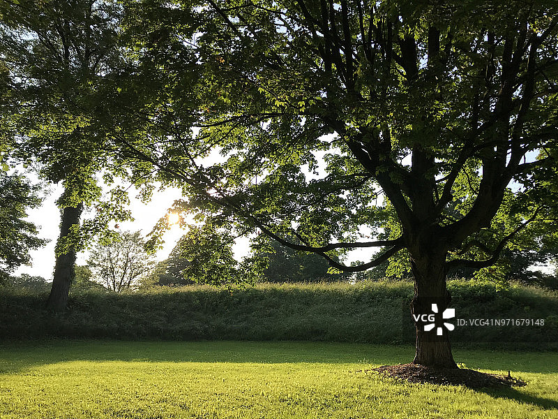 纽瓦克土方工程图片素材