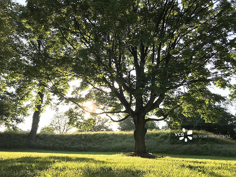 纽瓦克土方工程图片素材