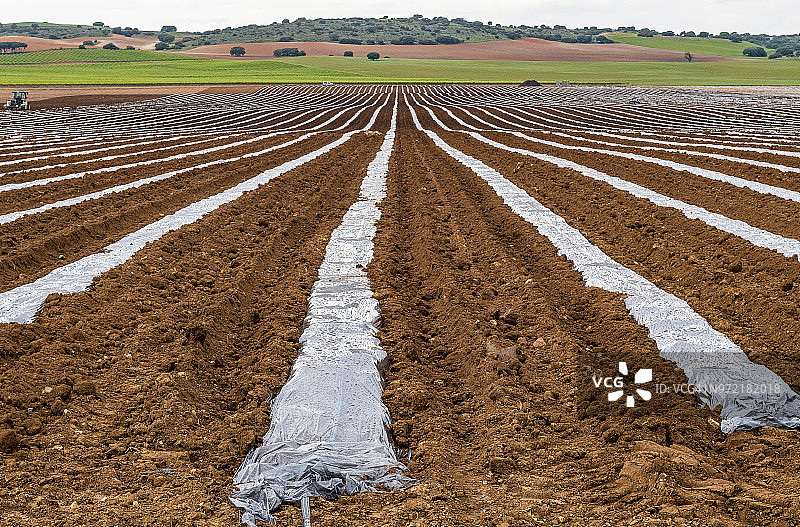 塑料覆盖下的农业图片素材