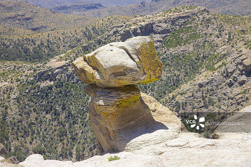 亚利桑那州图森附近莱蒙山上的石柱林图片素材