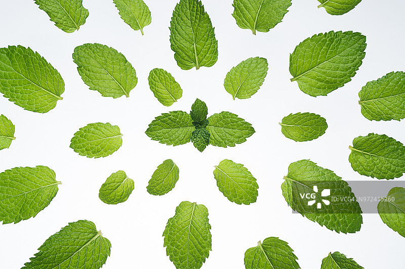 白色背景上的薄荷图片素材