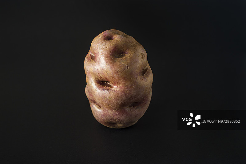 有机土豆图片素材