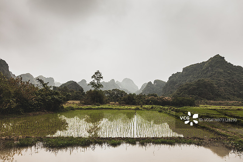 越南下龙湾图片素材