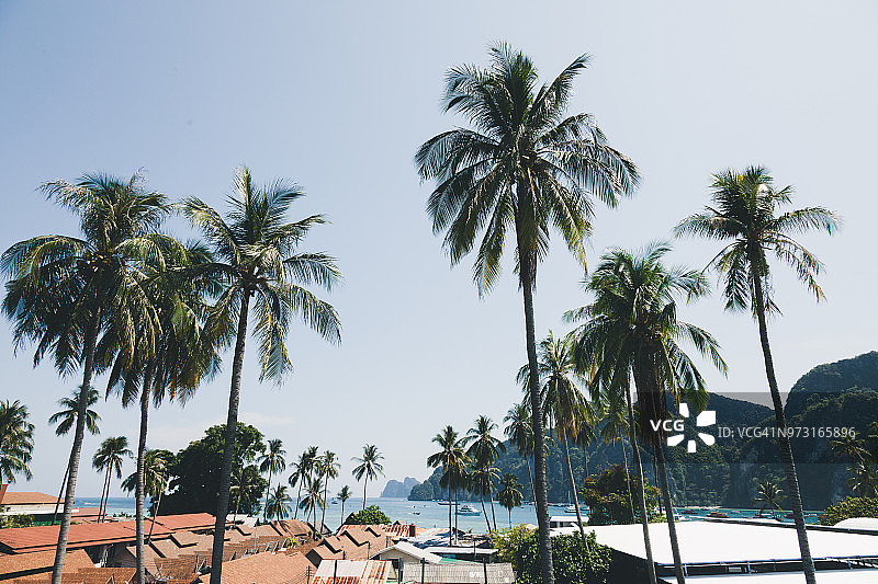 皮皮岛图片素材