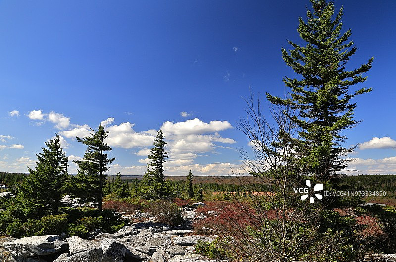从美国西弗吉尼亚州多莉索兹荒原熊岩附近的阿勒格尼前线向西看的景色图片素材