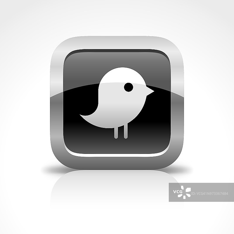 鸟和消息社交媒体光面按钮图标图片素材