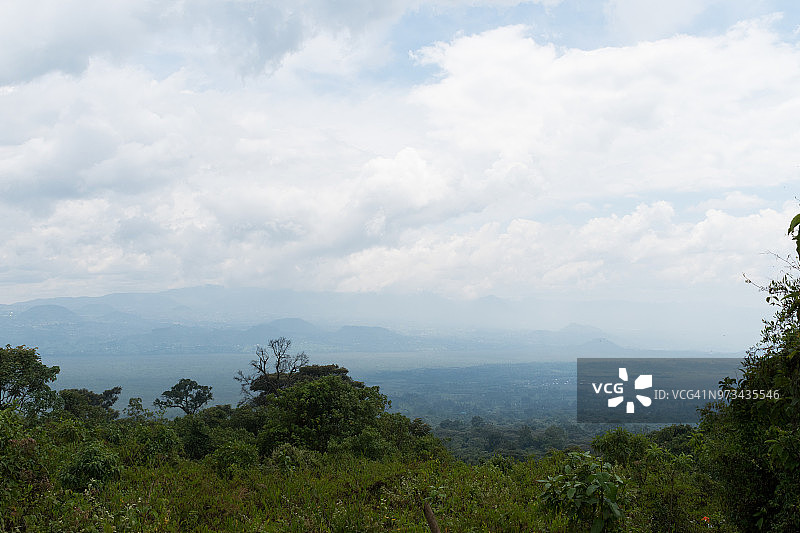 尼拉贡戈火山上的植被图片素材
