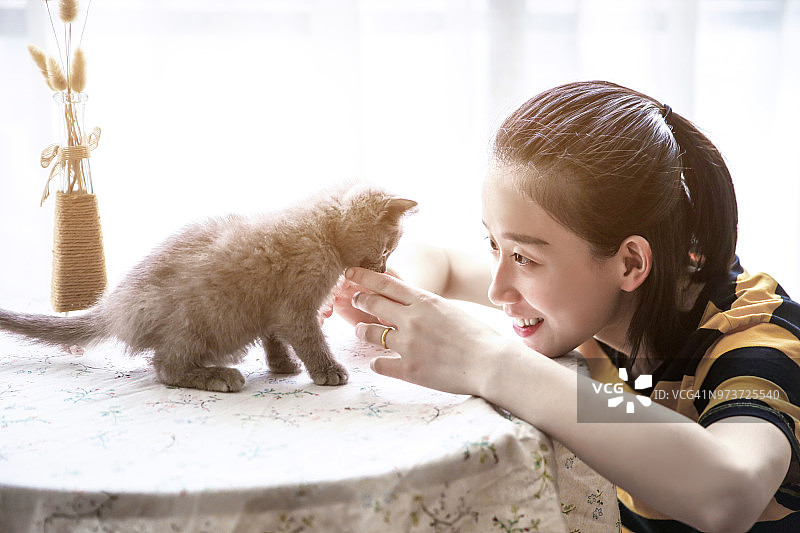 美丽的女孩和可爱的猫在玩耍图片素材