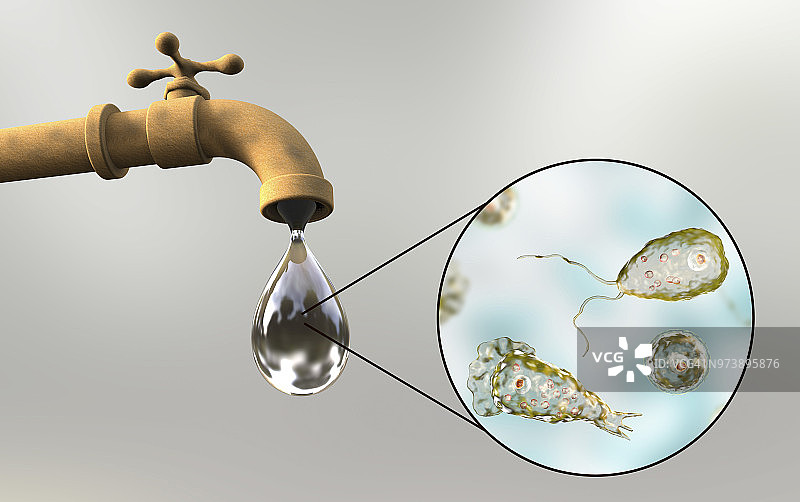 被阿米巴原虫污染的自来水，插图图片素材