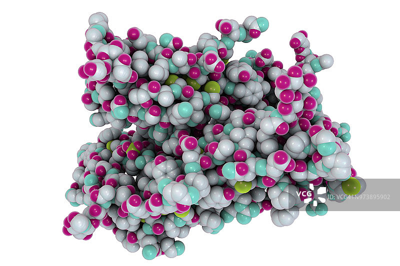 促卵泡激素图示图片素材