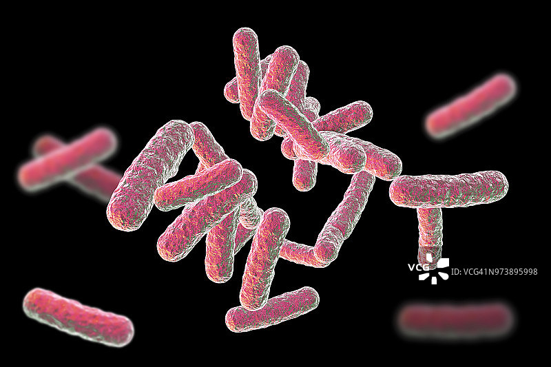 杆状细菌，图示图片素材