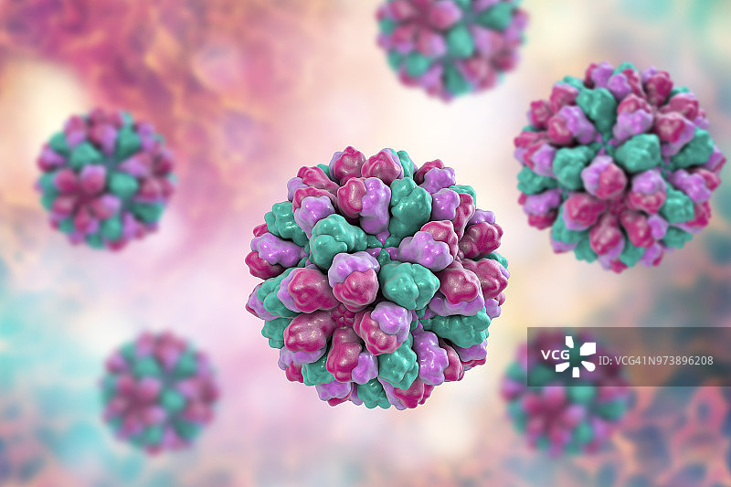 诺如病毒图示图片素材