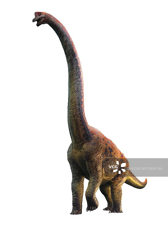 长颈巨龙插画图片素材