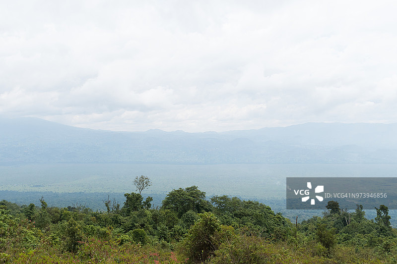 尼拉贡戈火山上的植被图片素材
