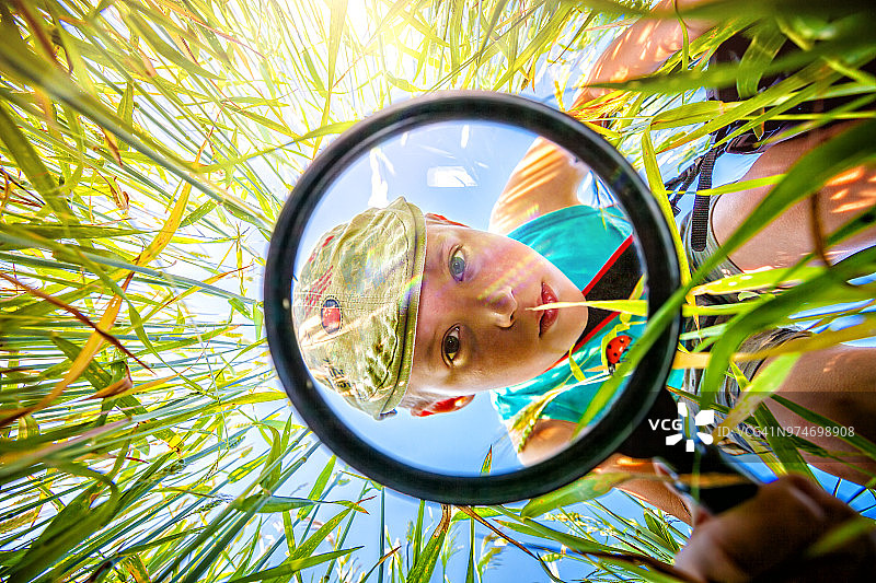 小男孩用放大镜看草地上的瓢虫图片素材