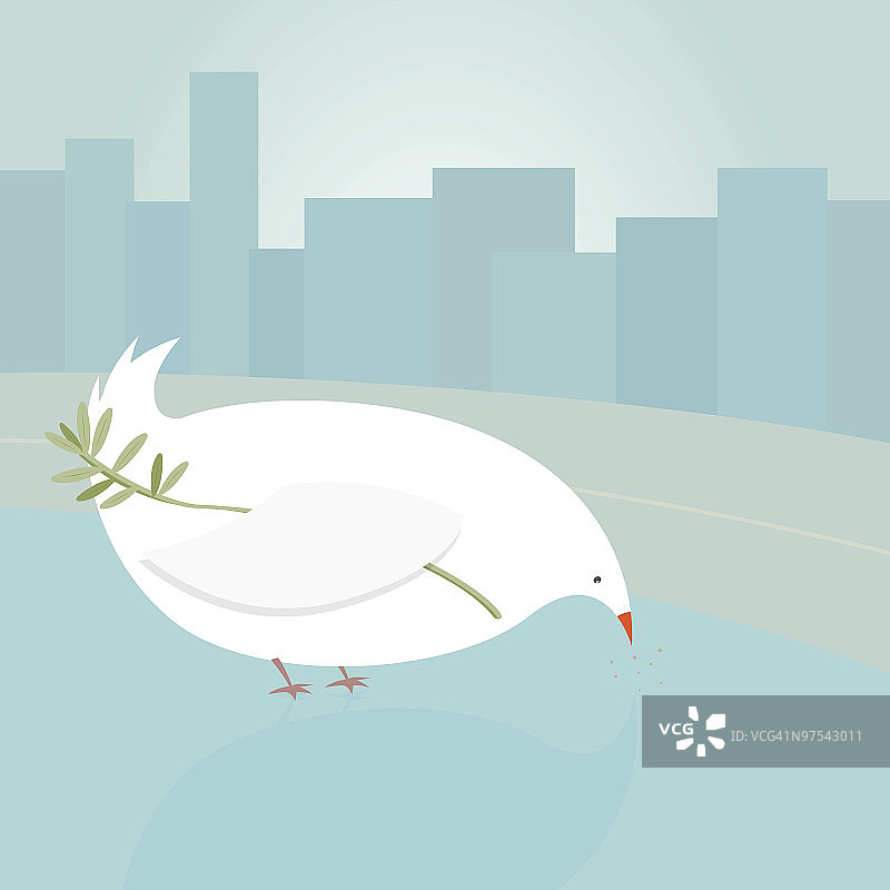 和平鸽图片素材