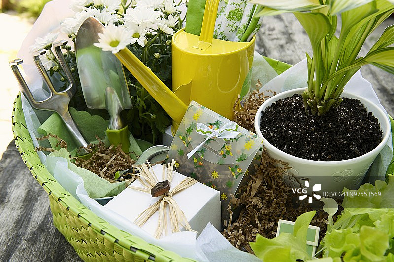 园艺工具篮图片素材