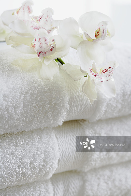 成摞的折叠毛巾与兰花图片素材