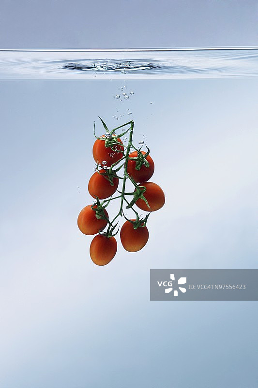 水中的小番茄图片素材
