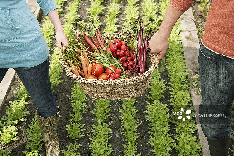 男人和女人用篮子搬运蔬菜图片素材