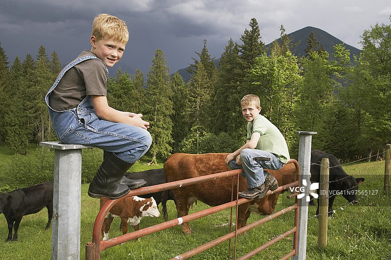 坐在栅栏上的男孩图片素材