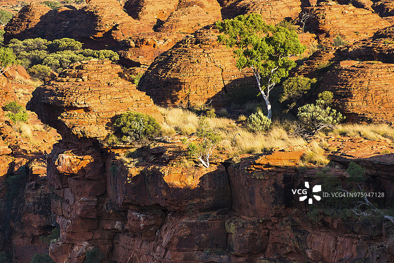 澳大利亚北领地瓦塔卡国家公园国王峡谷图片素材