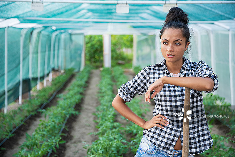 在温室工作的亚洲工人图片素材