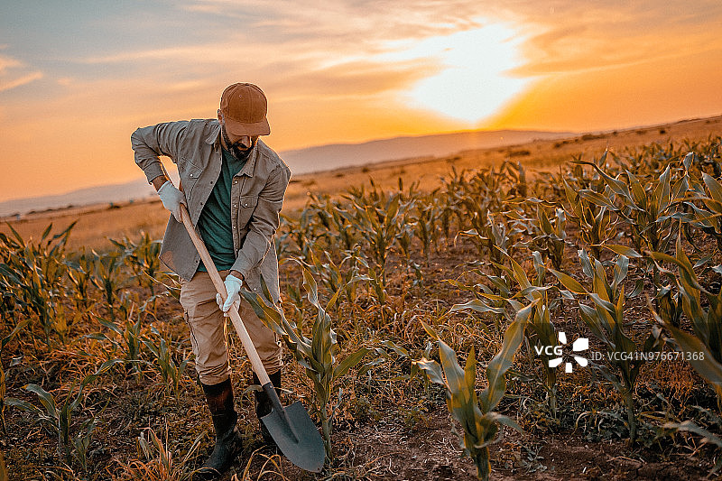 适合种植的土地图片素材
