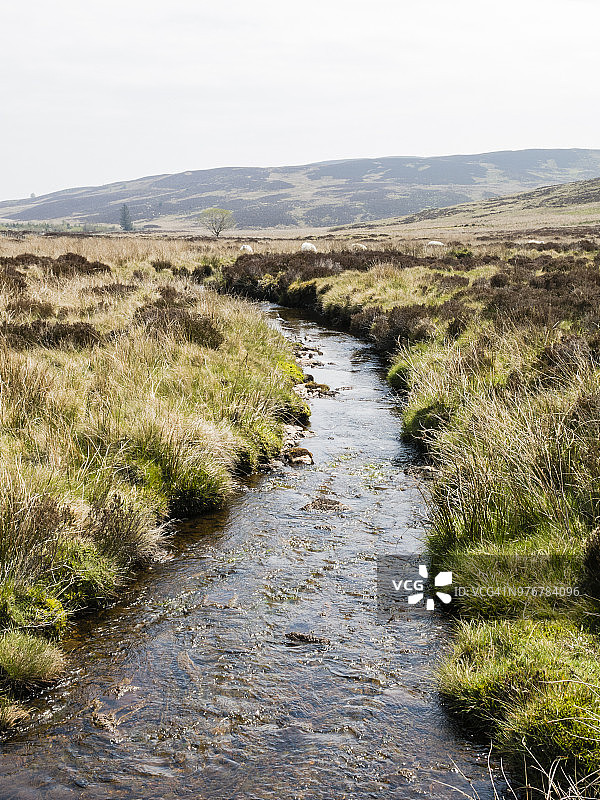 威尔士雷克瑟姆郡兰阿尔蒙迪弗林凯里奥格山谷溪流图片素材