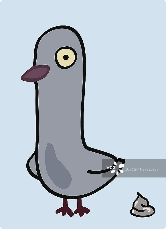 鸽子排泄物图片素材